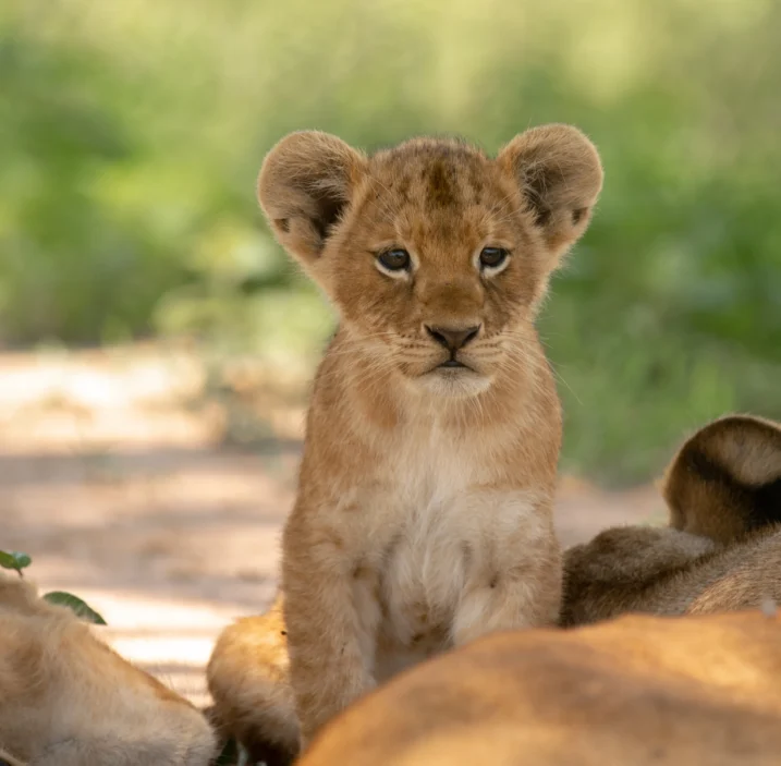 content-blog-uganda-2