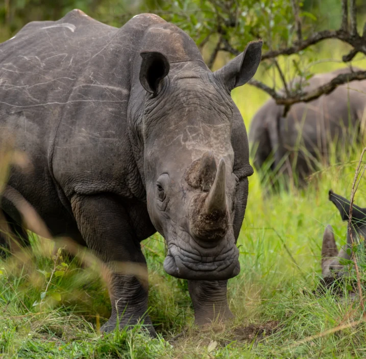 content-blog-uganda-3