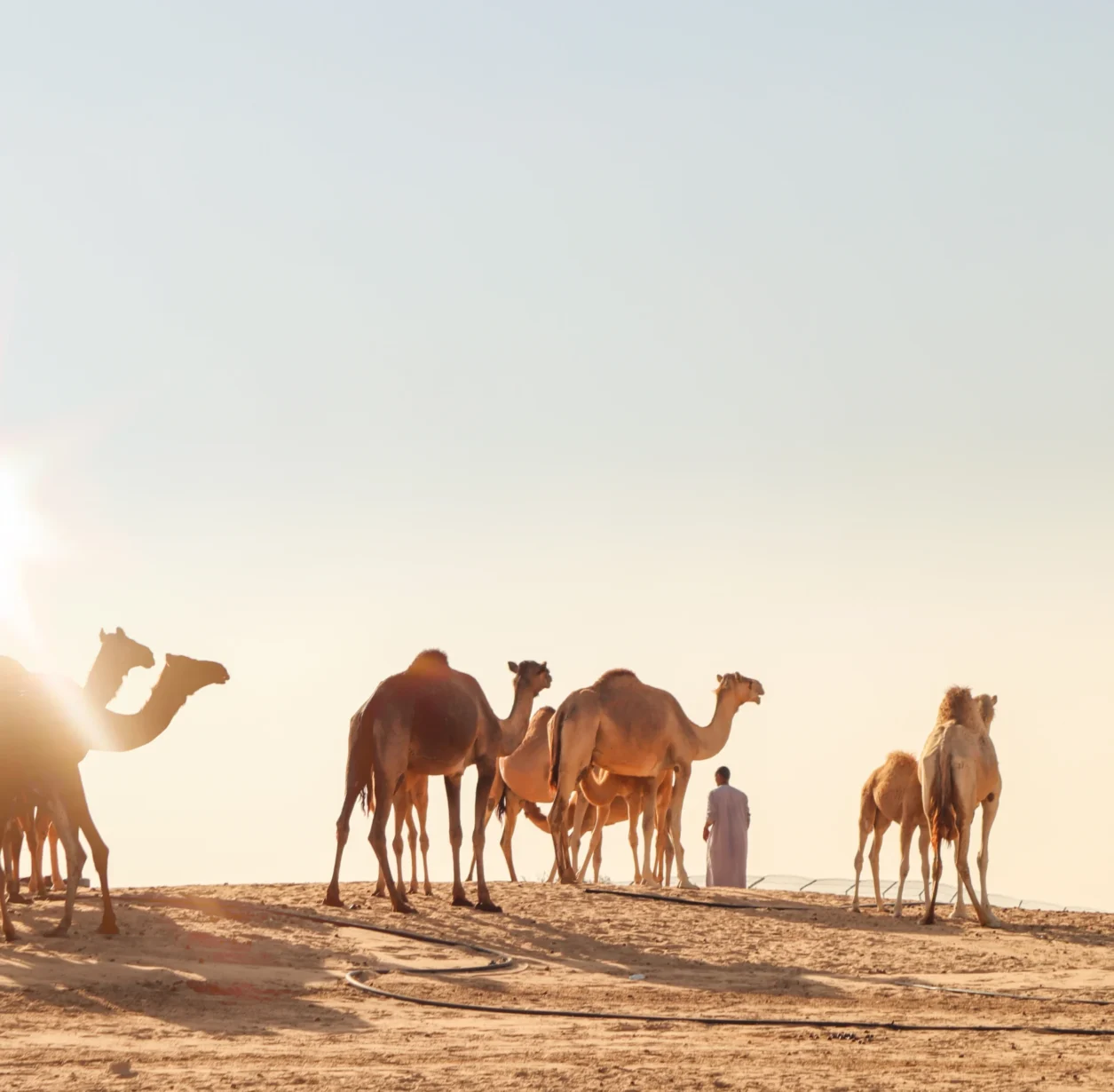 content-gruppenreisen-7