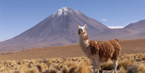 content-rundreisen-6